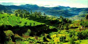 best famous places in Ooty