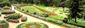 best famous places in Ooty